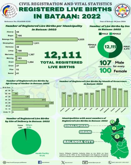 Infographics Birth 2022