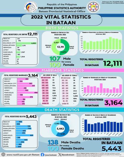 Infographics Vital Stat 2022