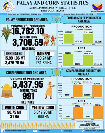 Palay and Corn Statistics First Quarter 2024