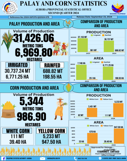 Palay and Corn Statistics Second Quarter 2024