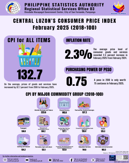 Central Luzon's Consumer Price Index February 2025 (2018=100)