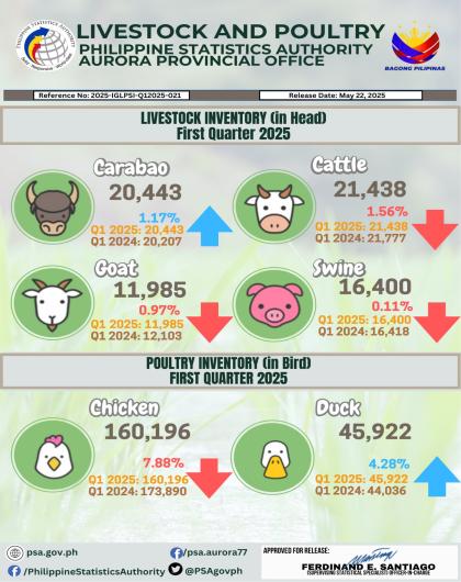 Livestock Inventory (in Head) First Quarter 2025