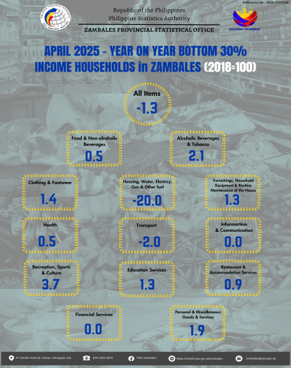 April 2025 Year-on-Year Percent Changes for Bottom 30 All Commodities in Zambales (2018=100) Infographics
