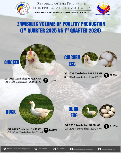 ZAMBALES VOLUME OF POULTRY PRODUCTION (1ST QUARTER 2025 VS 1ST QUARTER 2024) 