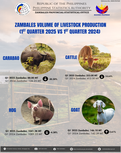  ZAMBALES VOLUME OF LIVESTOCK PRODUCTION (1ST QUARTER 2025 VS 1ST QUARTER 2024) 
