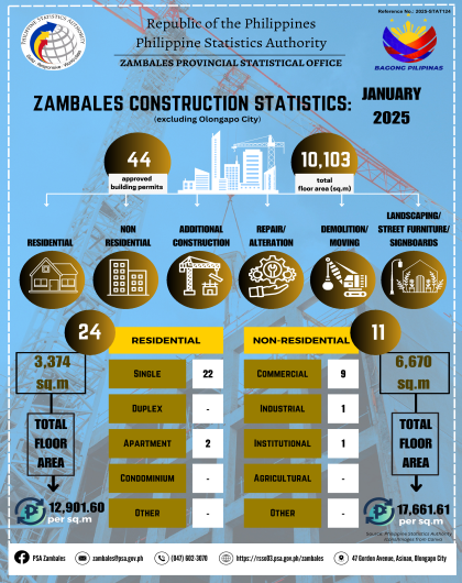 Construction Statistics from Approved Building Permits, Zambales, January 2025