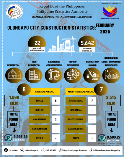 Construction Statistics from Approved Building Permits, Olongapo City, February 2025