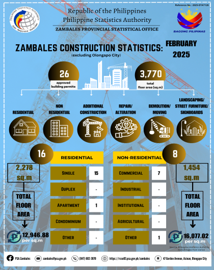 Construction Statistics from Approved Building Permits, Zambales, February 2025