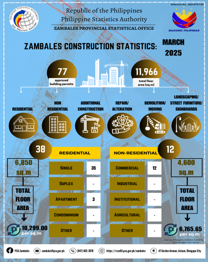 Construction Statistics from Approved Building Permits, Zambales, March 2025
