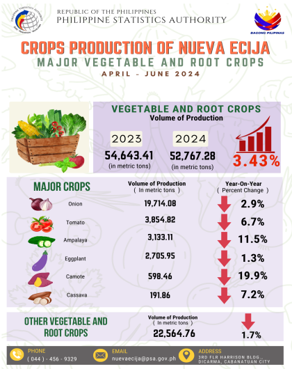 Infographics on Crops Production of Nueva Ecija Major Vegetable and Root Crops April - June 2024