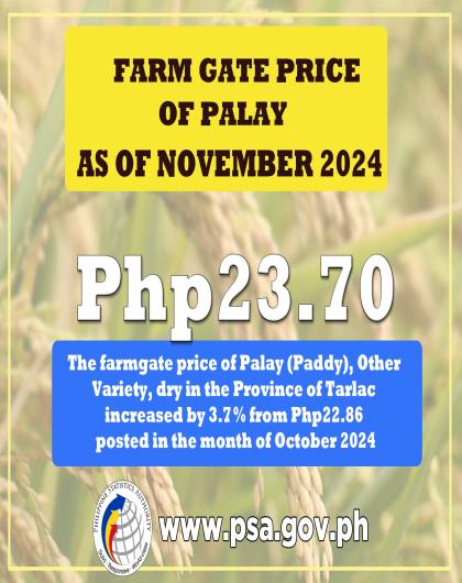 Farm Gate Price of Palay as of November 2024