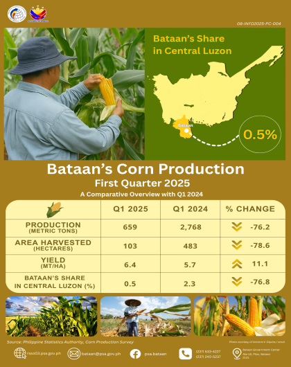 Bataan-Corn-Production-First-Quarter-2025