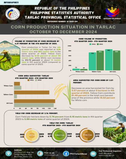 Corn production situation in Tarlac October - December 2024
