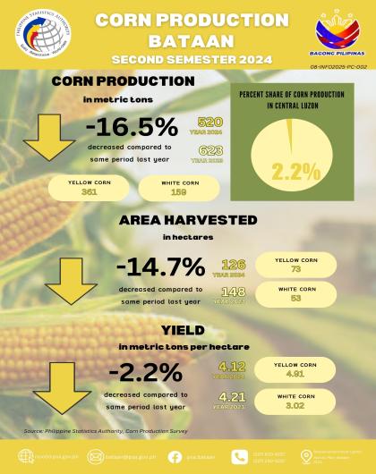 Figure1_ CornProductionFebruary2025