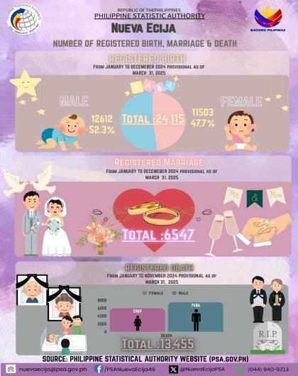 Civil Registration and Vital Statistics Infographics