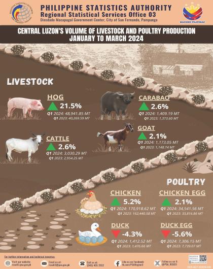 Central Luzon's Volume of Livestock and Poultry Production: January to March 2024