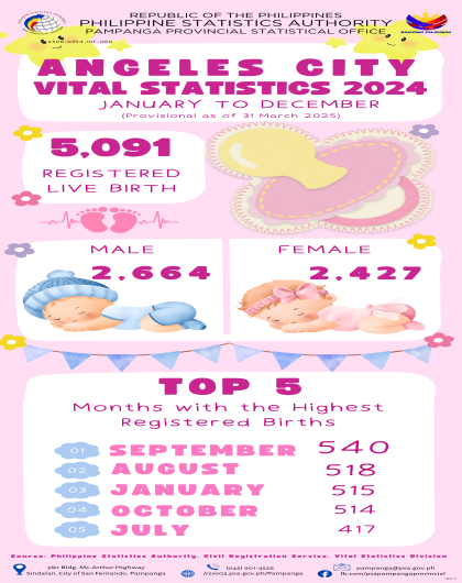 Angeles City Vital Statistics 2024 January to December (Provisional as of 31 March 2025)