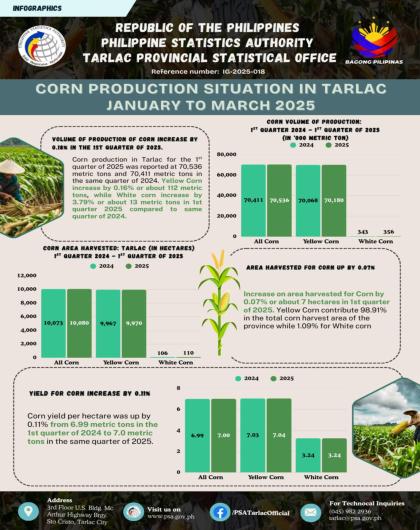 Corn Production Situation in Tarlac January to March 2025
