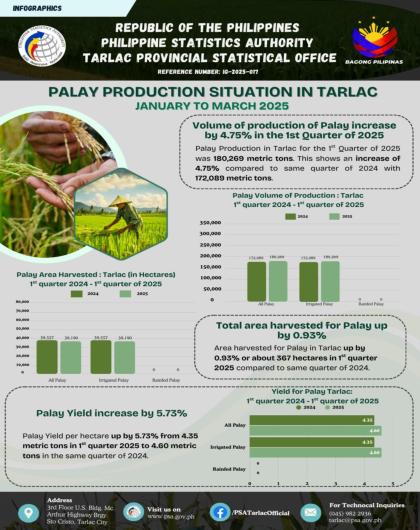 Palay production situation in Tarlac 
