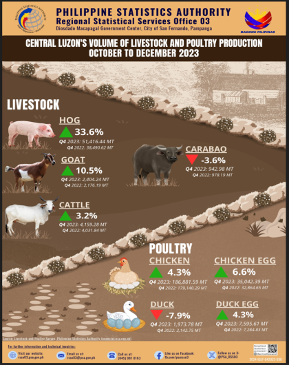 Central Luzon's Volume of Production Livestock and Poultry for October to December 2024