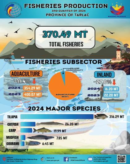 FISHERIES PRODUCTION IN TARLAC Third Quarter 2024