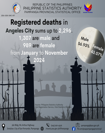Total Number of Male and Female Recorded Death from January to December 2024 in Angeles City