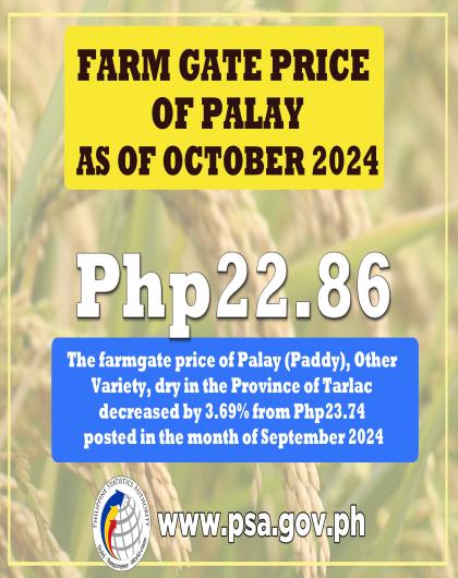  Farm Gate Price of Palay as of October 2024