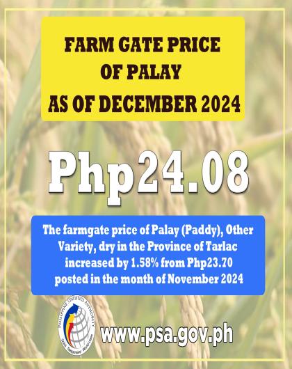 Farm Gate Price of Palay as of November 2024